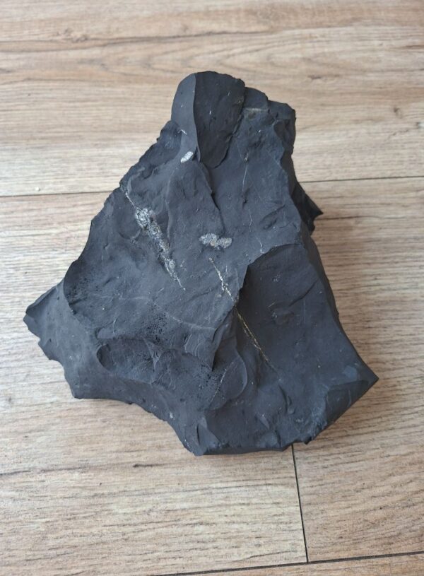 Grote Shungite steen