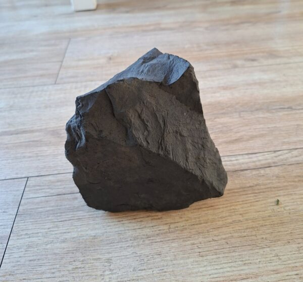 Grote Shungite steen