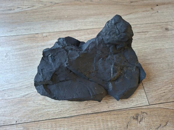Grote Shungite steen
