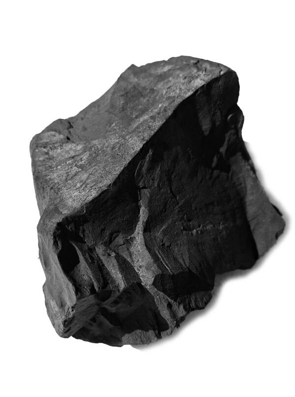 Grote Shungite steen