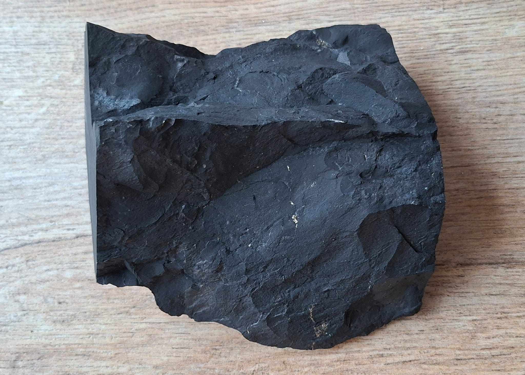 Grote Shungite stee